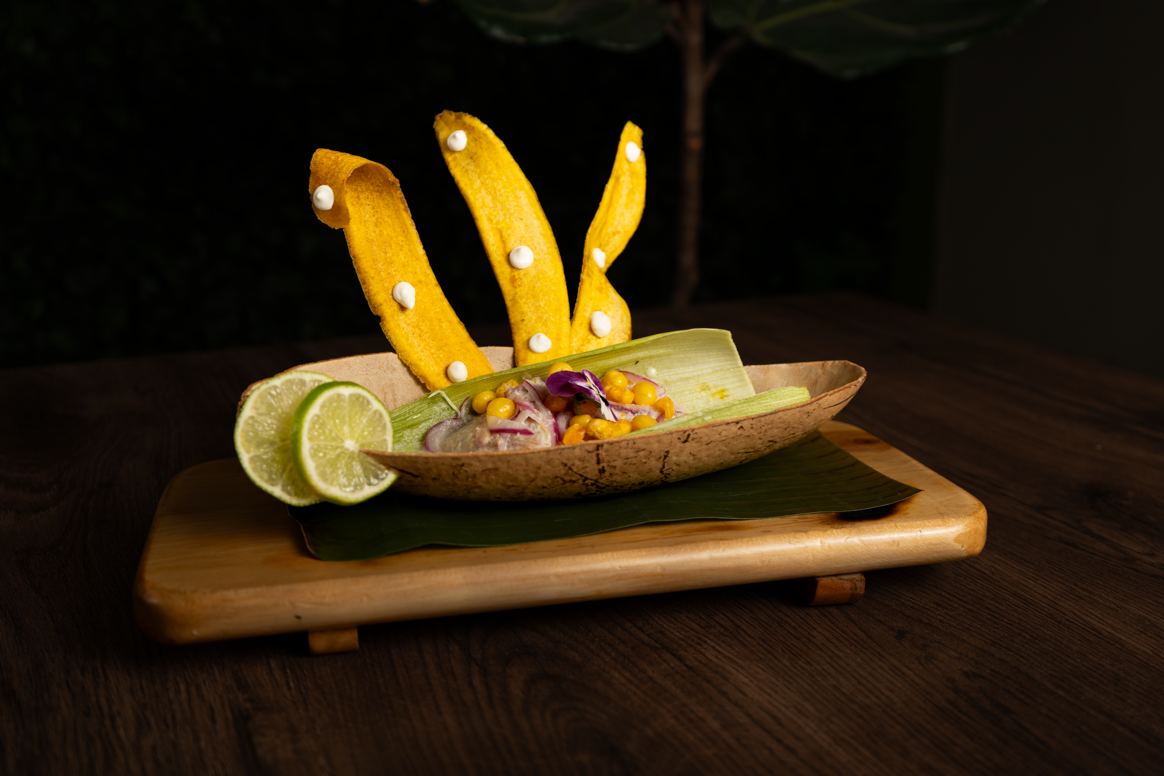 Ceviche Matrona - Image 2