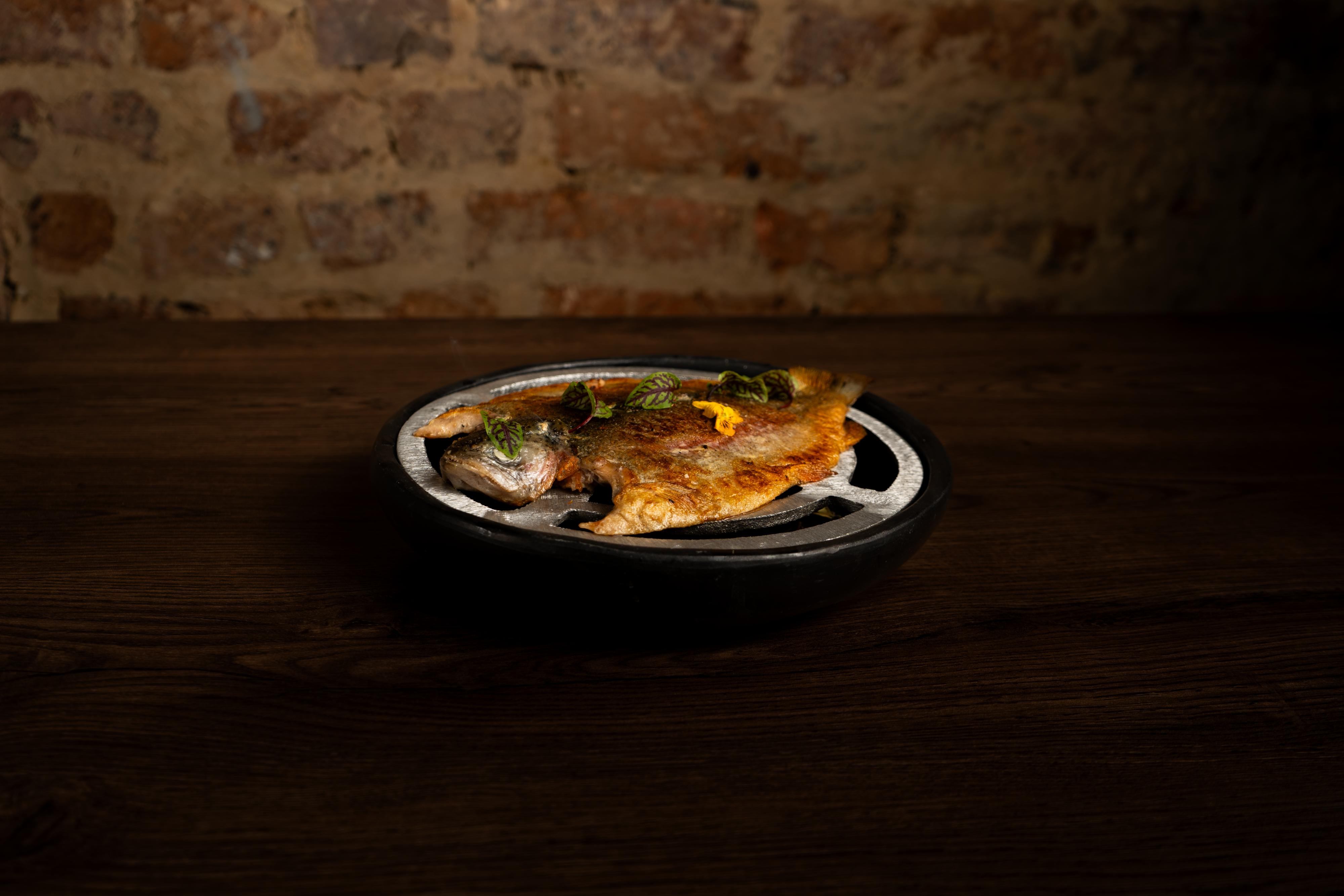 Trucha del páramo - Image 3