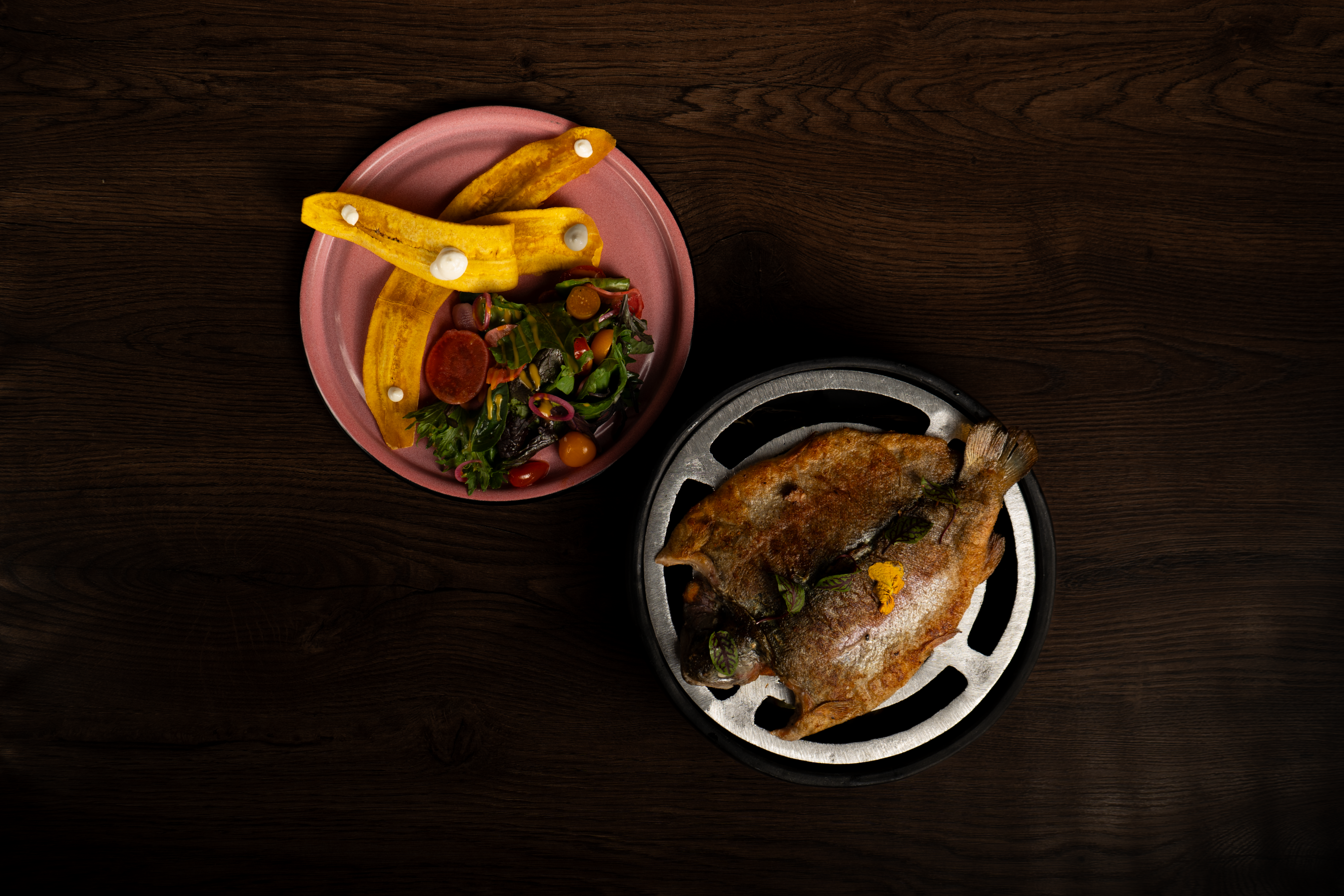 Trucha del páramo - Image 2